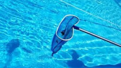 Photo of Top Maintenance Tips To Keep Your Pool Sparkling