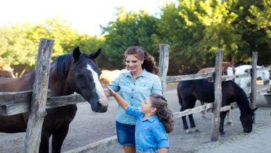 Photo of 8 Reason Why Your Family Needs to Experience Farm Stay Vacation