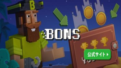 Photo of BONS blog review