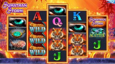 Photo of What are multiway slot games? 